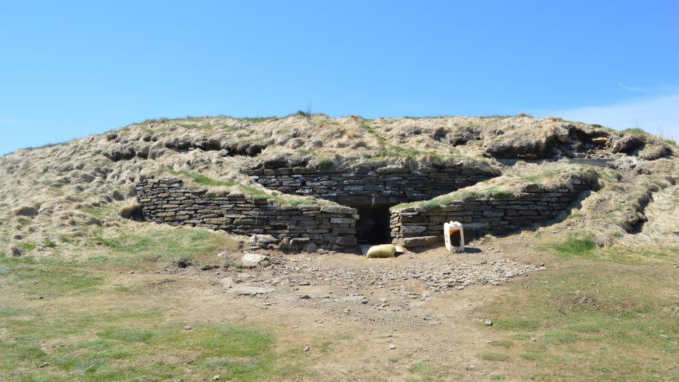 Some of the fossilized remains analyzed by archaeologists were found at Isbister Chambered Cairn, a 5,000-year-old tomb on South Ronaldsay, one of the Orkney Islands off Scotland. - Karen Hardy