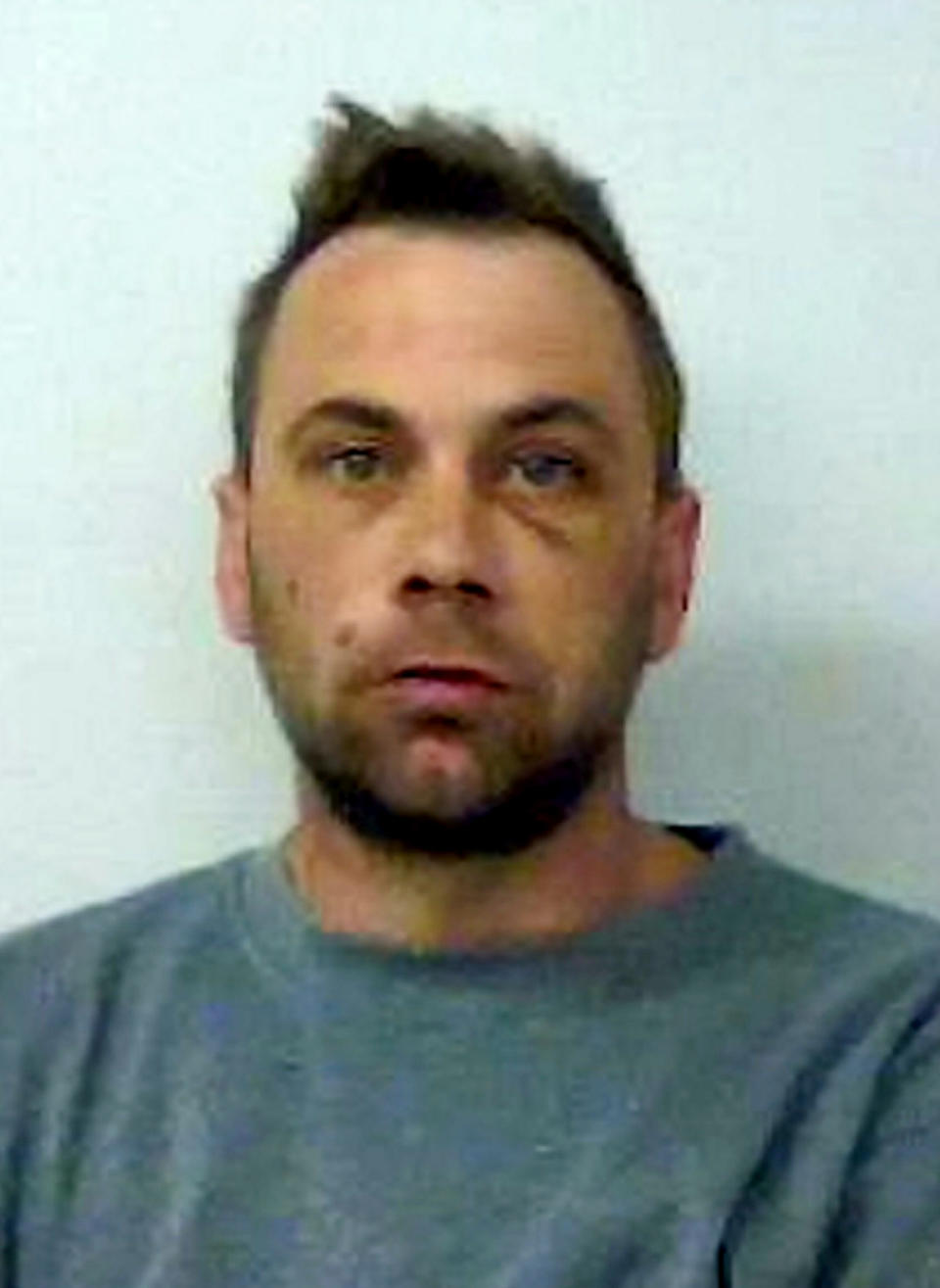 Day, 38, of Mill Street, Wantage, Oxfordshire, was jailed after admitting attempted arson and two counts of making threats to kill (Picture: SWNS)