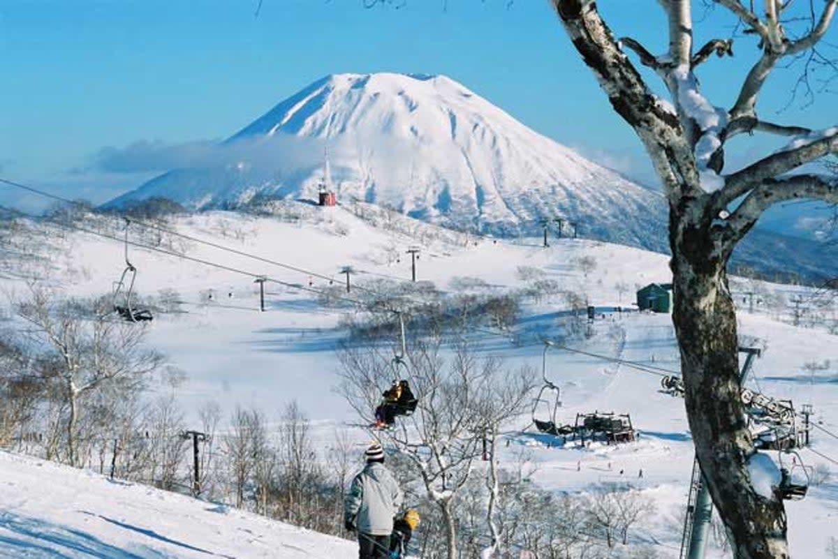 Try Niseko for a different cultural experience (JNTO)
