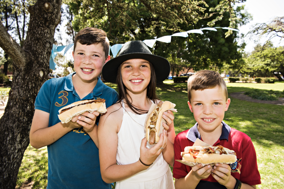 Mudgee Festival of Snags