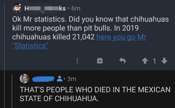 "In 2019 chihuahuas killed 21,042 people," "THAT'S PEOPLE WHO DIED IN THE MEXICAN STATE OF CHIHUAHUA."