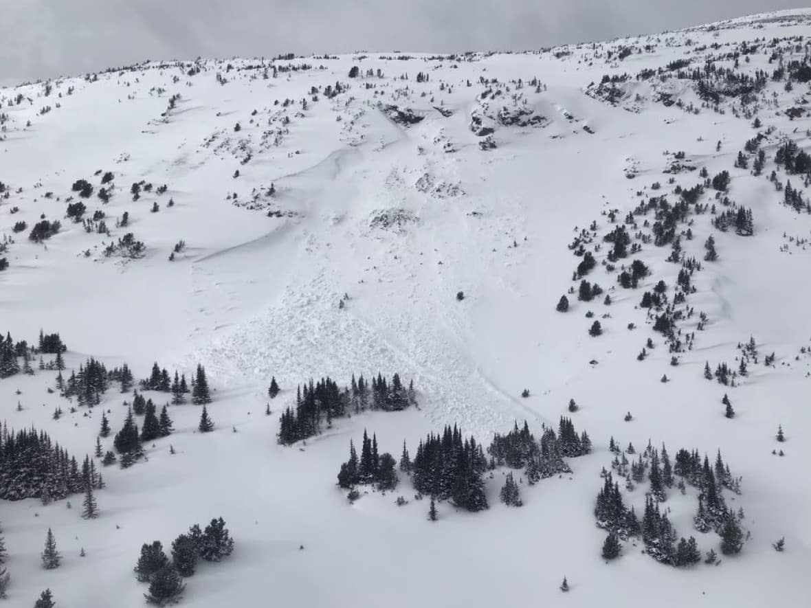 Two backcountry skiers died Feb. 11, 2023, in an avalanche on Potato Peak, 40 kilometres south of Tatla Lake, B.C. (submitted by Avalanche Canada - image credit)