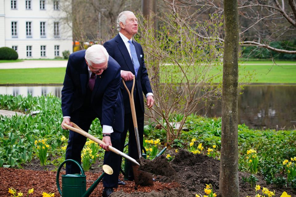 Britain's King Charles III and Germany's President Frank-Walter Steinmeier plant a tree in the garden of the presidential Bellevue Palace in Berlin, on March 29, 2023. - Britain's King Charles III began his first state visit, having postponed a trip to France due to widespread political protests. Charles will undertake engagements in the German capital and in Brandenburg before heading to Hamburg during the three-day tour. (Photo by Ben Birchall / POOL / AFP) (Photo by BEN BIRCHALL/POOL/AFP via Getty Images)