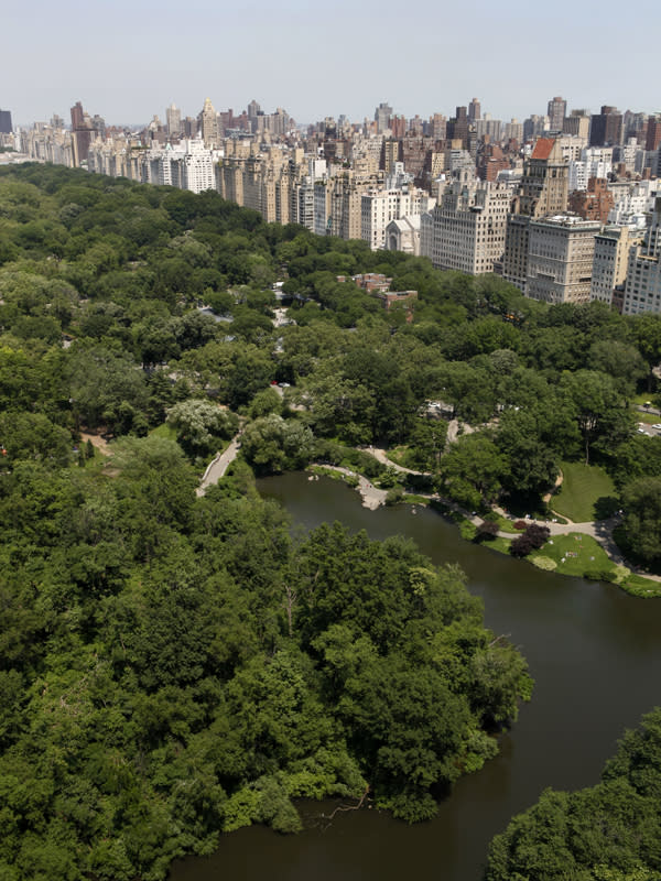 $50 million two-bedroom apartment at Central Park Ritz-Carlton view