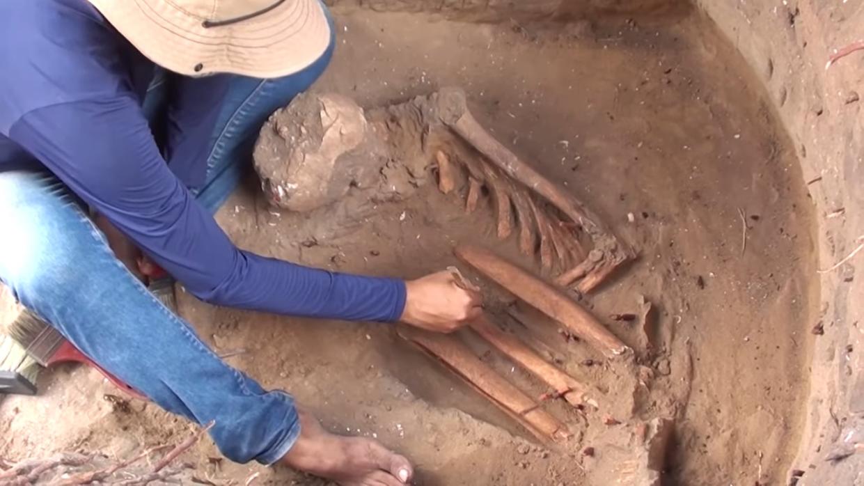  An excavated skeleton found at the archaeological site of São Luís, Brazil along with an archaeologist dressed in blue. 