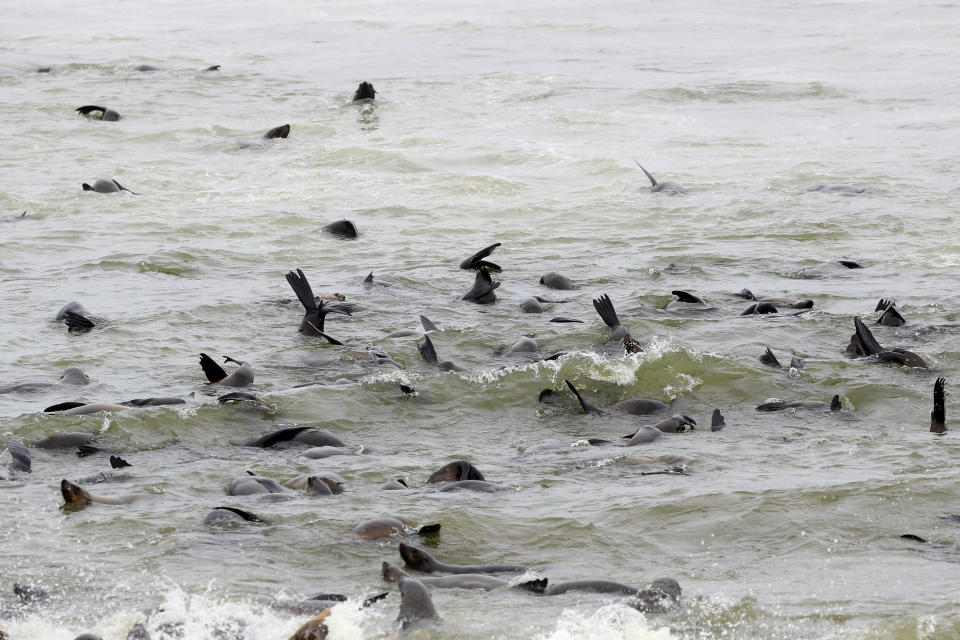 A swim in the Atlantic