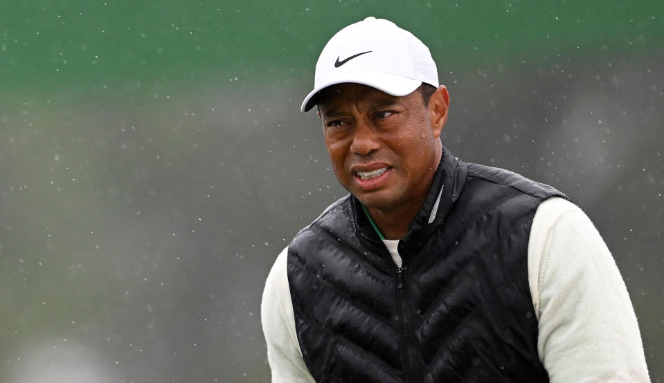 Tiger walks through the rain whilst grimacing