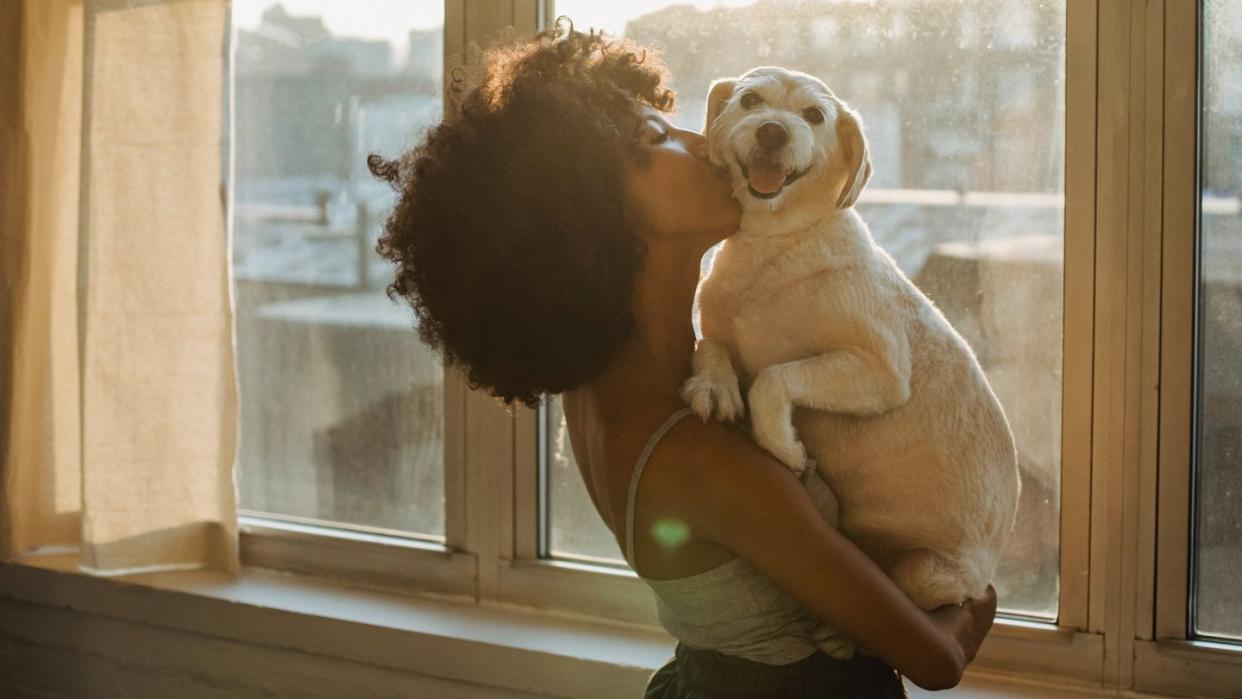 a person holding a dog, best air purifiers for pets