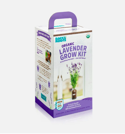 <p><a href="https://backtotheroots.com/collections/windowsill-planters/products/organic-lavender-windowsill-planter" rel="nofollow noopener" target="_blank" data-ylk="slk:Shop Now;elm:context_link;itc:0;sec:content-canvas" class="link ">Shop Now</a></p><p>Organic Lavender Grow Kit</p><p>Back to the Roots</p><p>$24.99</p>