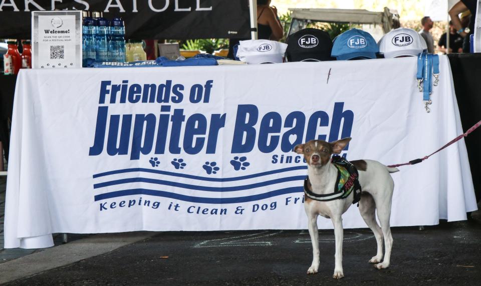 Your dog's favorite foodie event happens Saturday, May 20, when the Friends of Jupiter Beach Food and Wine Festival returns.