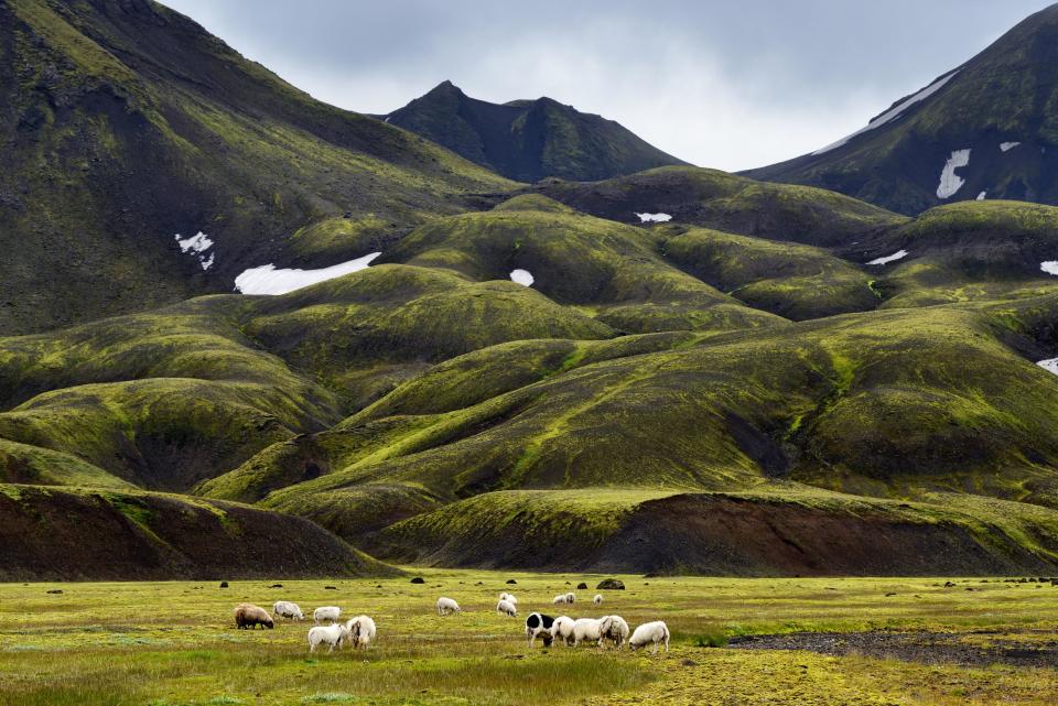 <p>The highlands features a lava field that was formed after a volcano erupted around the year 1477.</p>