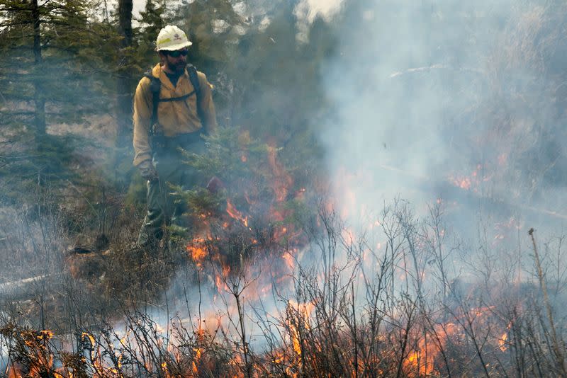 U.S. West Coast races to reduce wildfire risk ahead of summer