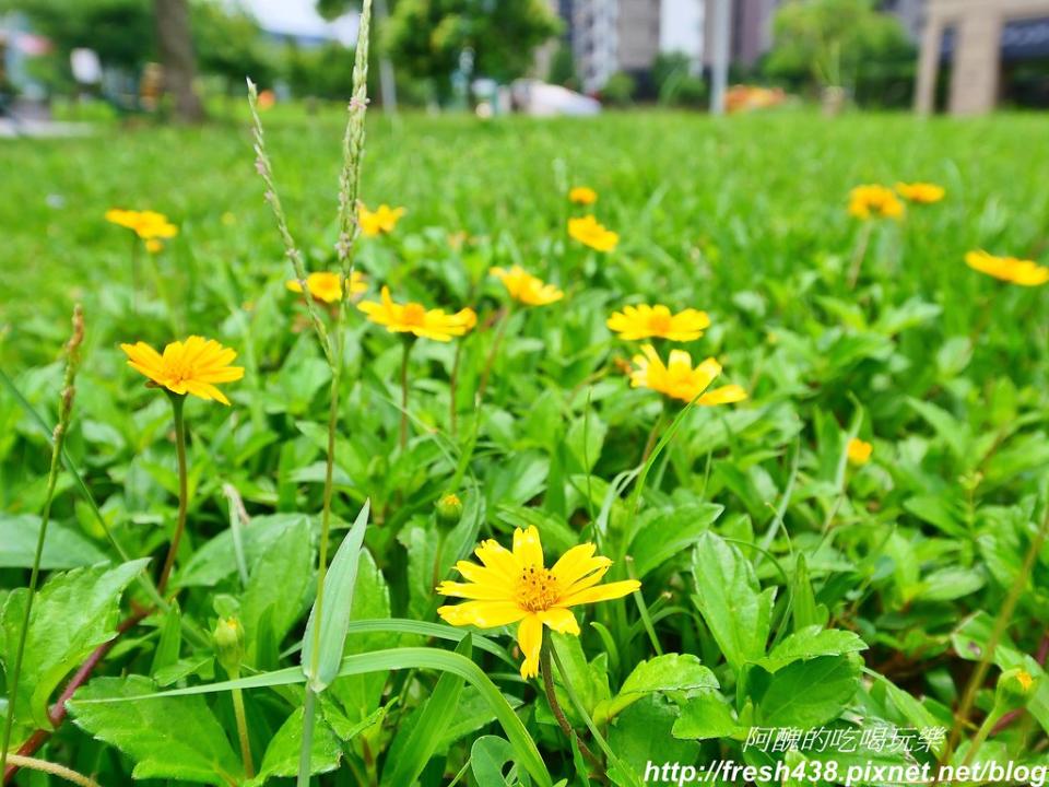 台北明美公園