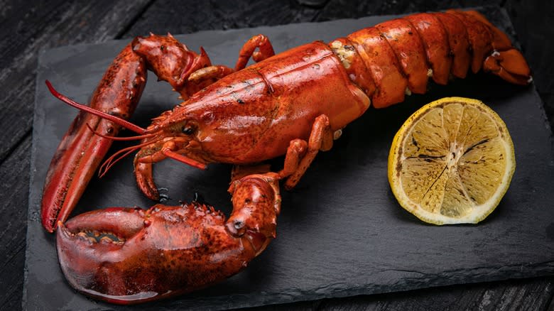 Whole lobster on a slate