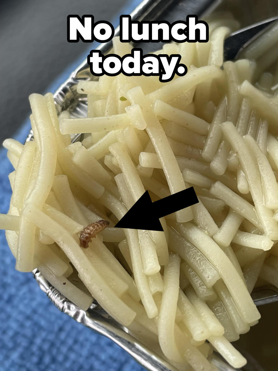 Cooked pasta in a container with a small insect visible