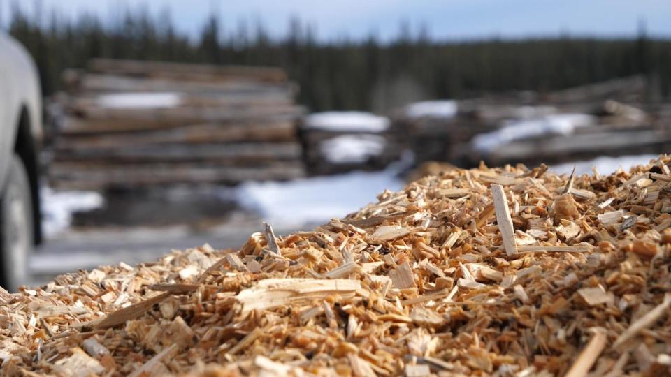Wood chips from the Teslin sawmill power biomass boilers that provide heat to ten of the community's largest buildings.