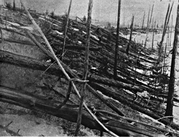 Desolate area with numerous fallen trees scattered and lying in a radial pattern, suggesting a powerful force caused the destruction. No people or animals are visible