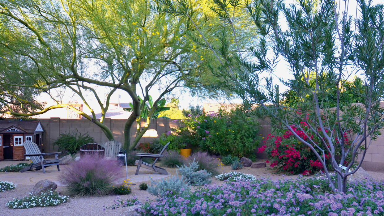  xeriscaped garden design 