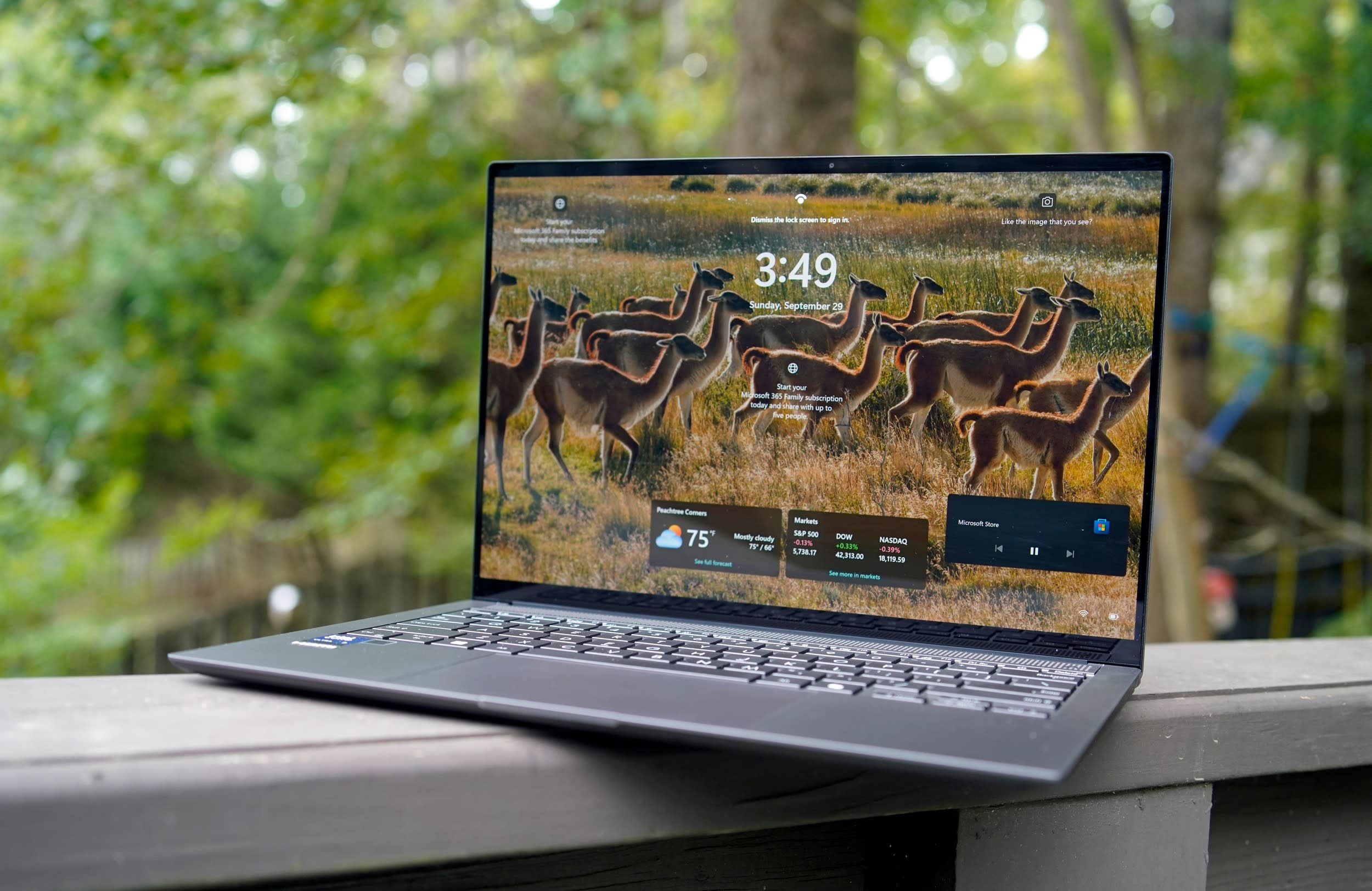 Das ASUS Zenbook S 14 (2024) zeigt den Anmeldebildschirm von Windows 11 an