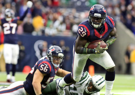 FILE PHOTO: Nov 22, 2015; Houston, TX, USA; Houston Texans strong safety Andre Hal (29) makes the interception during the second half of a game against the against the New York Jets at NRG Stadium. Houston won 24-17. Mandatory Credit: Ray Carlin-USA TODAY Sports / Reuters Picture Supplied by Action Images/File Photo