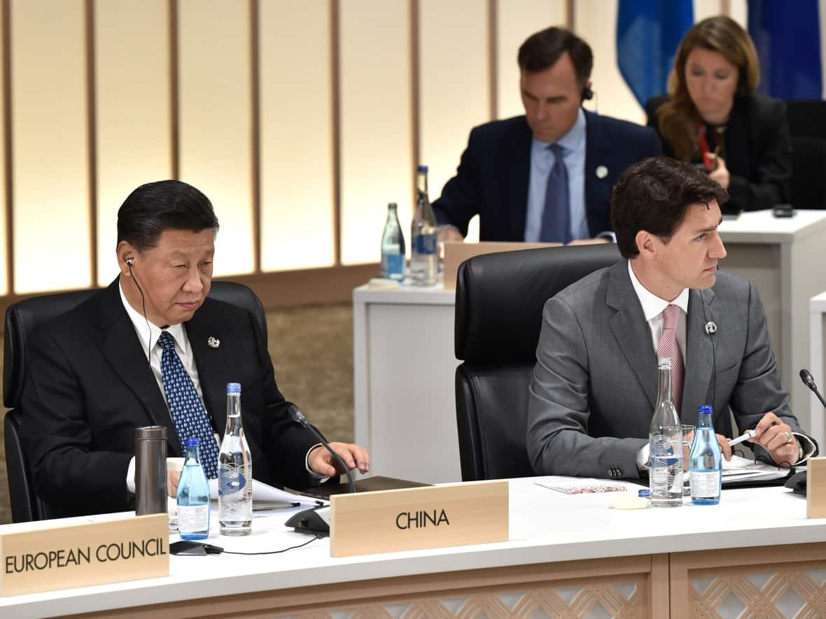 China's President Xi Jinping and Prime Minister Justin Trudeau attend a working session at the G20 Summit in Osaka, Japan on June 29, 2019. (Kazuhiro Nogi/pool via Reuters - image credit)