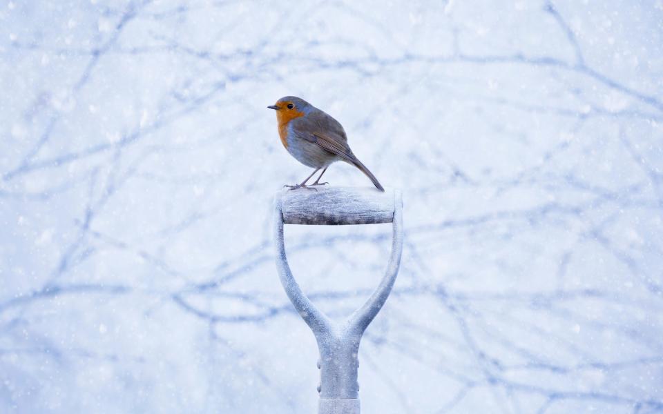 Snow has a magical quality - Getty