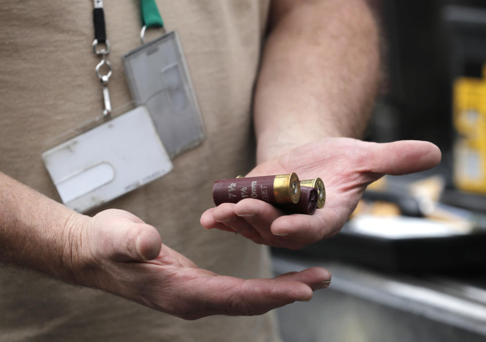 In this Oct. 23, 2018 photo, Dave Simon, a wildlife biologist, holds shotgun shells in a lab in Corvallis, Ore., that will be used to cull barred owls. Bob Sallinger, conservation director with the Audubon Society of Portland, says, “A decision not to kill the barred owl is a decision to let the spotted owl go extinct. That’s what we have to wrestle with.” (AP Photo/Ted S. Warren)