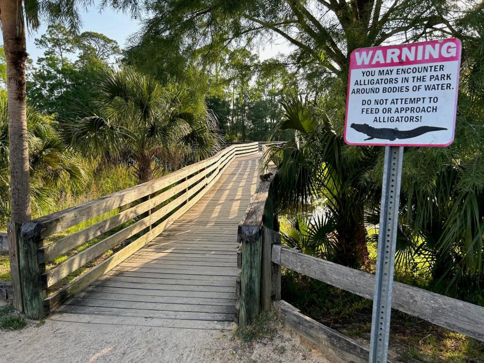 Flagler County is asking people not to feed alligators and adding signs like this one at Wadsworth Park. It is illegal to feed alligators in Florida. A county ordinance also prohibits feeding wildlife on public land, which would include the squirrel in the photo.