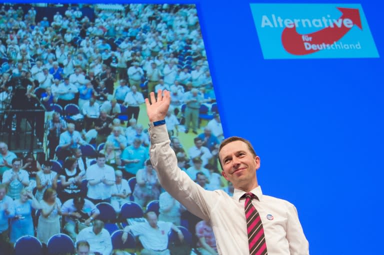 Bernd Lucke, founding member of the Alternative for Deutschland party, waves during a party congress on July 4, 2015 in Essen, western Germany