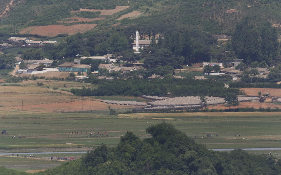 In this Tuesday, June 11, 2019, photo, North Koreans work in the field of their town of Kaepoong seen from the Unification Observation Post in Paju, South Korea, near the border with North Korea. North Korea on Wednesday, June 12 says it's actively fighting the spread of highly contagious African swine fever weeks after it reported an outbreak near its border with China. (AP Photo/Ahn Young-joon)