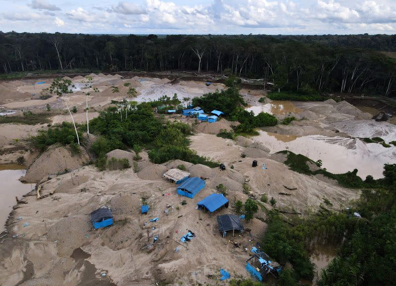 Amazon rainforest gold mining is poisoning scores of threatened species
