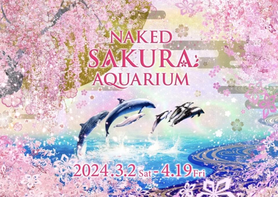 日本旅遊｜東京水族館Maxell期間限定櫻花主題！入場觀看櫻花海底世界＋360度夢幻海豚騷 一覽活動日期及票價優惠