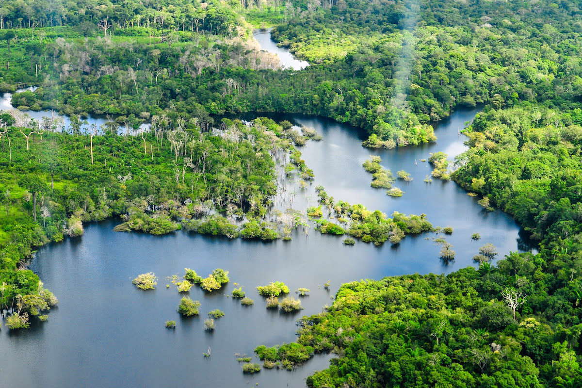 The Amazon rainforest near the Brazilian city of Manaus. Neil Palmer / CIAT via Flickr