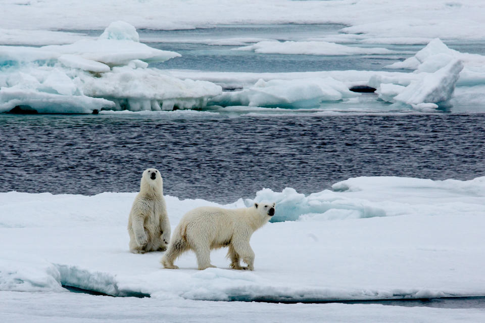 (Photo: Josef Friedhuber via Getty Images)