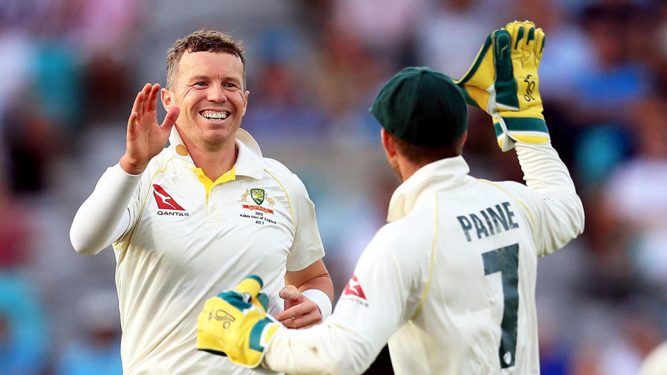 Seen here, Peter Siddle celebrates with Tim Paine after a wicket during the 2019 Ashes series.