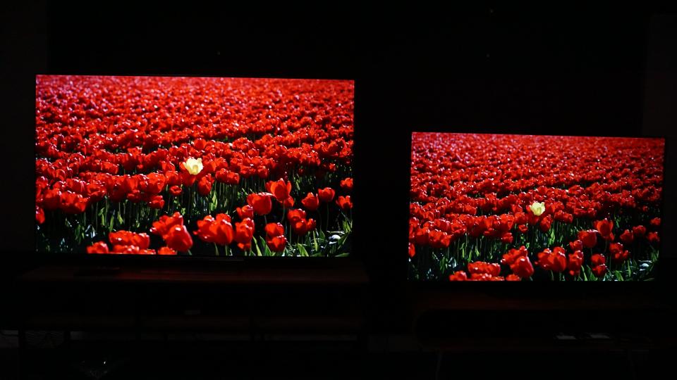 LG G3 and LG B3 with field of red flowers on screen
