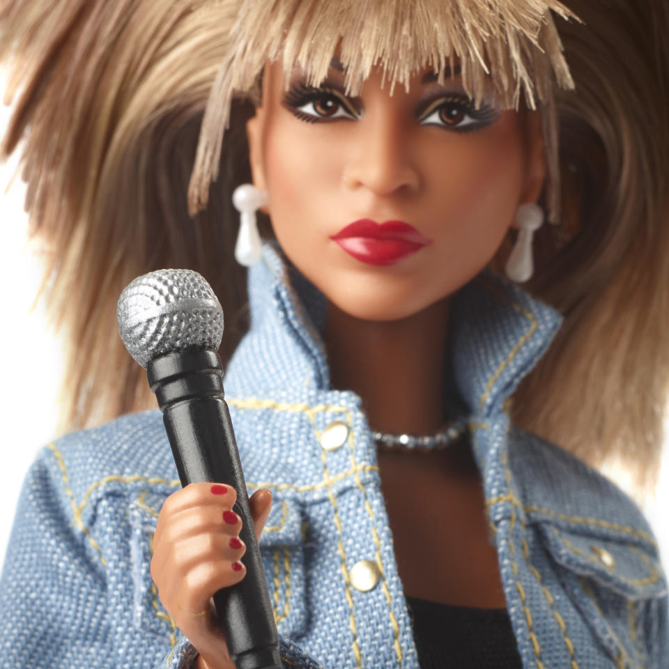 Tina Turner Barbie Signature Music Collection