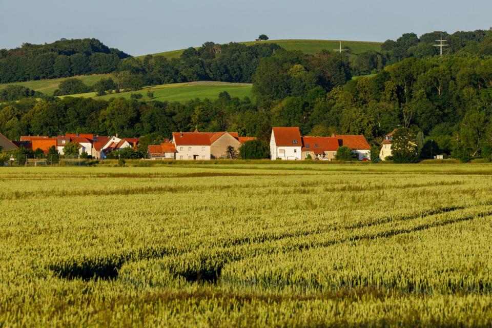 Auch die sorbische Kultur hat ihren Platz im sächsischen Biosphärenreservat. Dabei wird ein vielfältiges Kulturprogramm zelebriert, etwa auf jährlichen Naturmärkten mit regionalen Produkten, traditionellem Handwerk und kulturellen Veranstaltungen. Als Anlaufstelle für Besucher gilt das "Haus der Tausend Teiche", das sich seit 2012 in Wartha befindet. (Bild: iStock/heckepics)