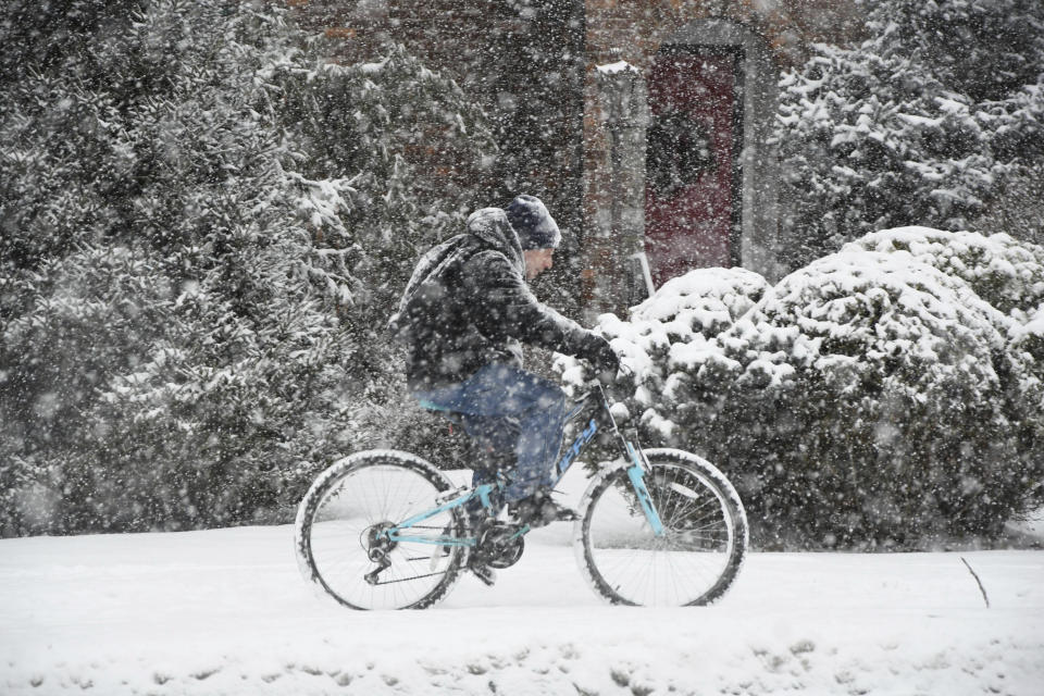 A cyclist navigates the sidewalk along State Road in North Adams, Mass., on Sunday afternoon, Jan. 7, 2024, during the height of the snowstorm. (Gillian Jones-Heck/The Berkshire Eagle via AP)