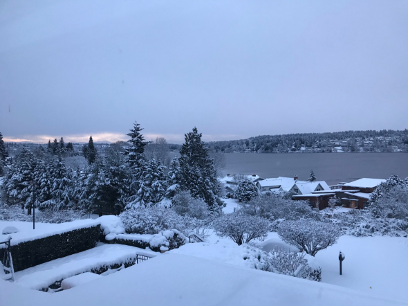 Snow in Seattle 