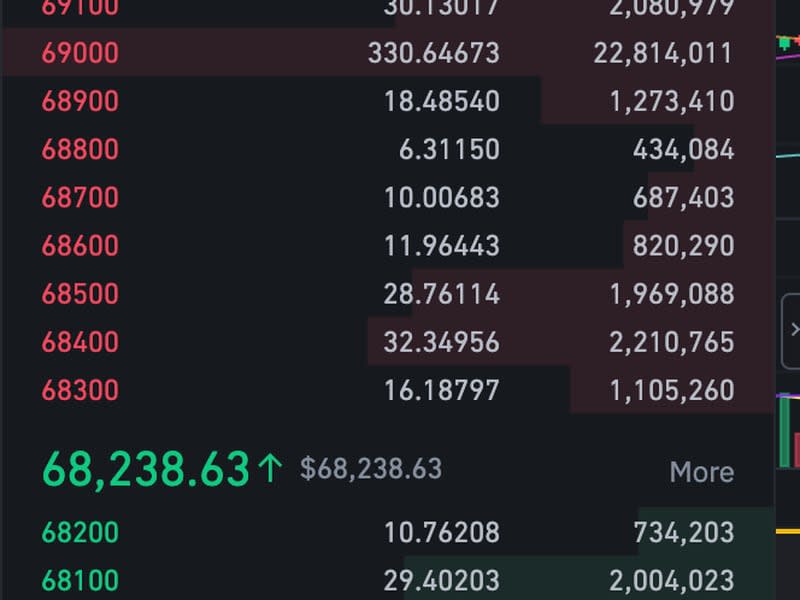 Binance BTC/USDT order book (Binance)