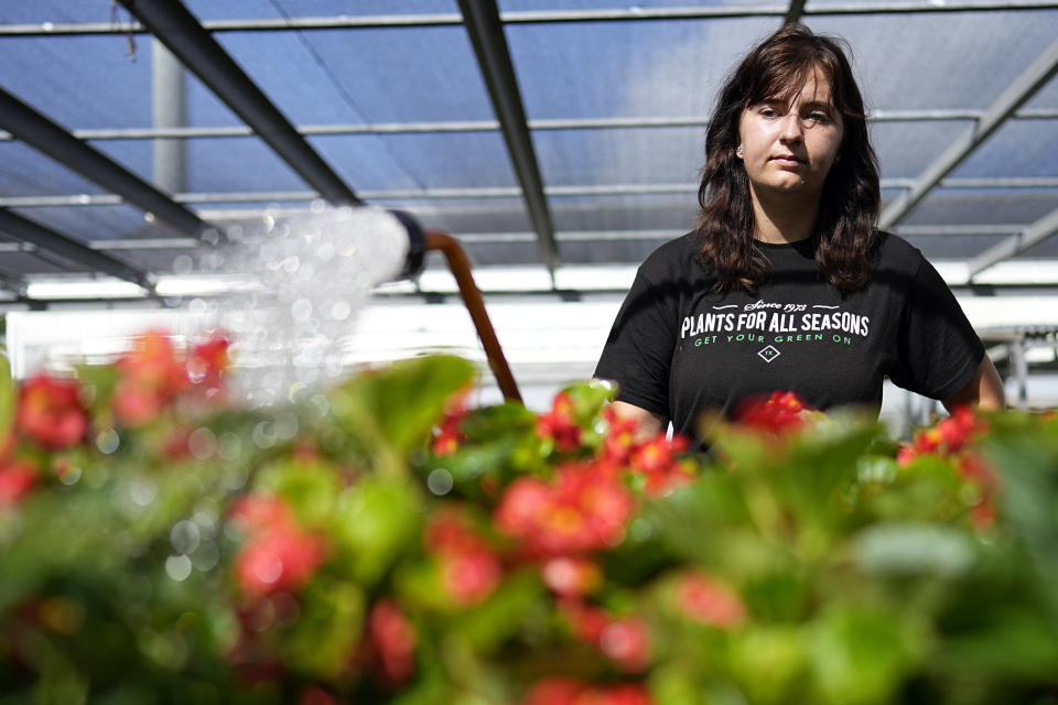 Skylar Jones waters plants while working outside at a plant nursery Tuesday, June 27, 2023, in Houston. Meteorologists say scorching temperatures brought on by a heat dome have taxed the Texas power grid and threaten to bring record highs to the state. (AP Photo/David J. Phillip)