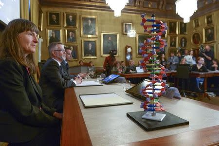 A model of the DNA double helix sits on a desk in front of professor Sara Snogerup Linse (L), a member of the Nobel Assembly, during a news conference at the Royal Swedish Academy in Stockholm October 7, 2015. REUTERS/Fredrik Sandberg/TT News Agency