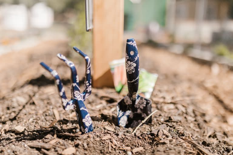 Animate a tu huerta, a compostar, a comer lo que vos mismo plantás: esta primavera, Club te acompaña con beneficios para que te vuelvas más sustentable.