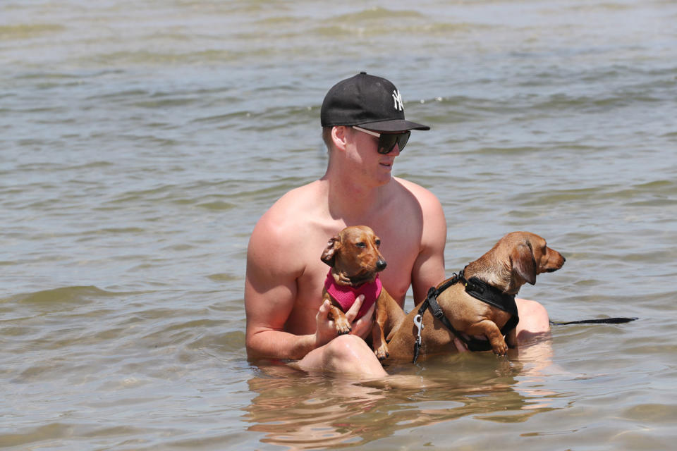 A man takes his dogs for a swim during a hot day at St Kilda beach in Melbourne. Source: AAP