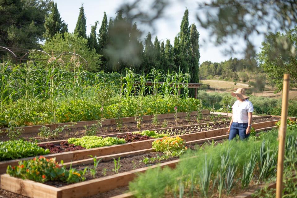 Cas Gasi’s vegetable gardens make for a true farm-to-fork experience (InMedia)