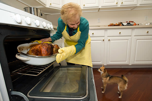 Los huesos de pavo podrían ser súper dañinos para la salud de tu perro. Foto: JodiJacobson/Getty Images