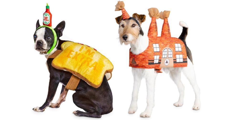 Petco Unveils Pet Halloween Costumes for 2019, Including Avocado Toast and a Poop Factory