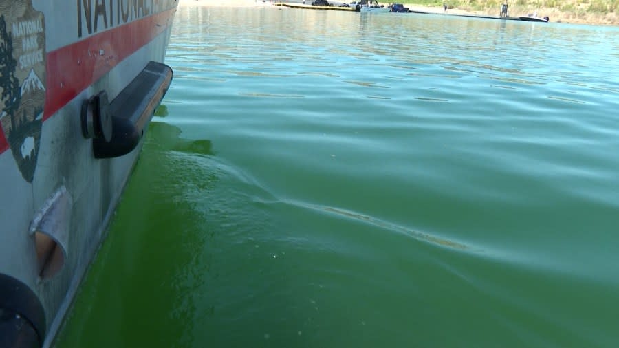 <em>Lake Mead is preparing for a wave of visitors this Memorial Day weekend. It’s one of the busiest weekends out on the water, which means lots of work for those protecting this park. (KLAS)</em>