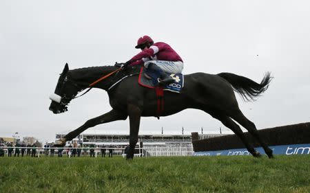 Horse Racing - Cheltenham Festival - Cheltenham Racecourse - 18/3/16 Bryan Cooper on Don Cossack on his way to winning the 3.30 Timico Cheltenham Gold Cup Chase Action Images via Reuters / Andrew Boyers Livepic